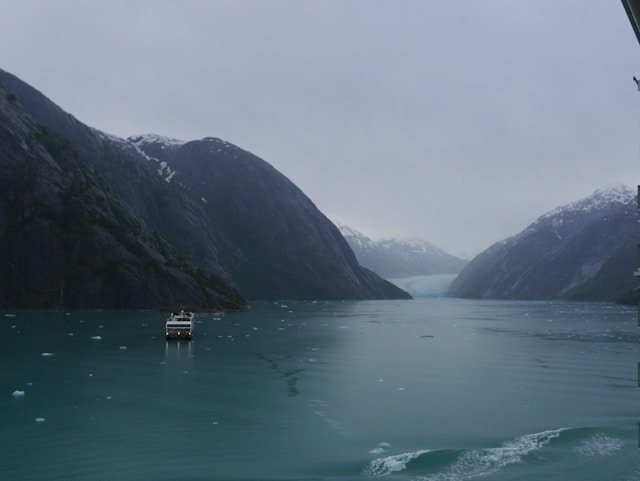 Cruise 3